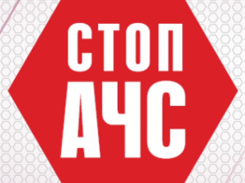 УДЪЛЖАВА СЕ СРОКЪТ ЗА ГРУПОВО ЛОВУВАНЕ НА ДИВА СВИНЯ ДО КРАЯ НА ЯНУАРИ